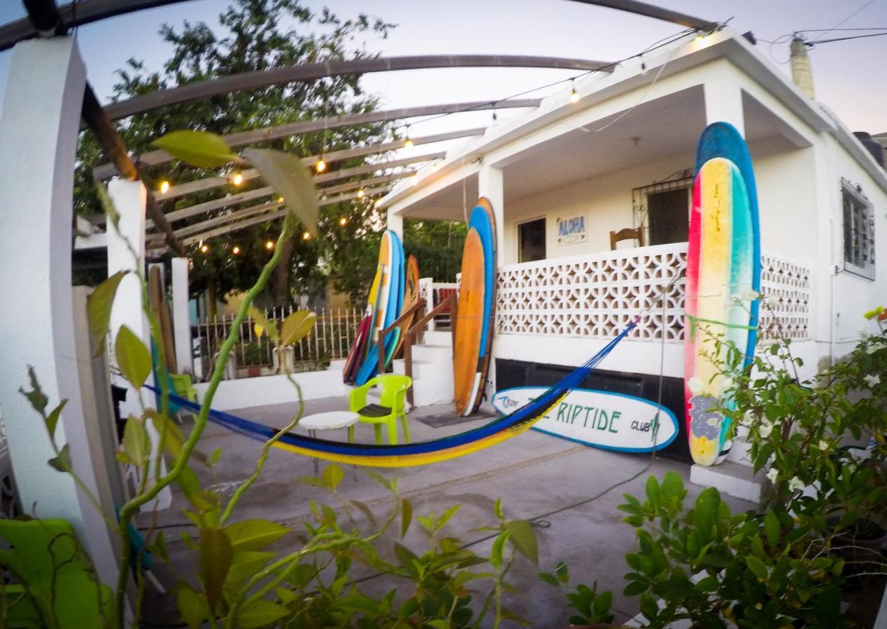 Surf Hostel Cabo "The Riptide" San Jose del Cabo Bagian luar foto