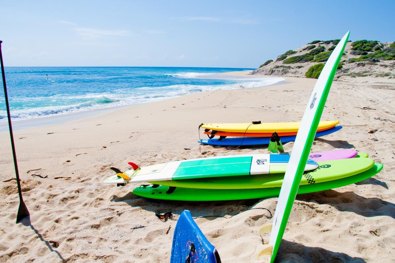 Surf Hostel Cabo "The Riptide" San Jose del Cabo Bagian luar foto